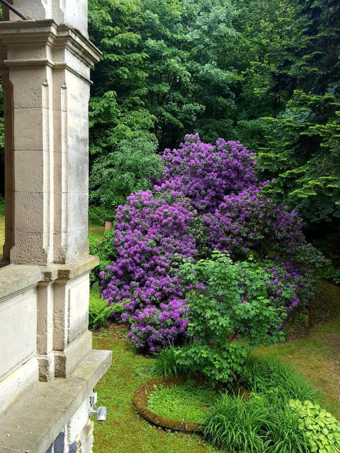 Romantic Chateau Krasna Lipa Exterior photo